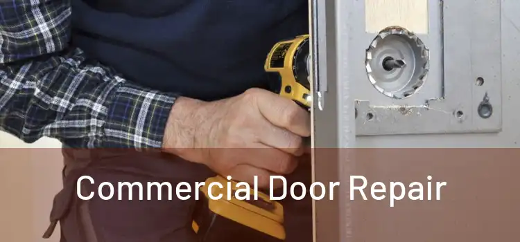 Commercial Door Repair